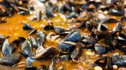 Mussels with Tomatoes and Garlic