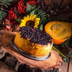 Pumpkin Cake With Cream Cheese Frosting