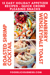 3 15 Easy Holiday Appetizer Recipes – Quick Crowd Pleasing Snacks
