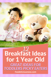 Breakfast Ideas for 1 yr old