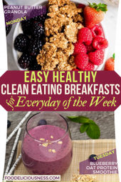 EASY HEALTHY CLEAN EATING BREAKFASTS Peanut Butter Granola and Blueberry Oat Protein Smoothie