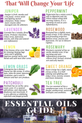 Essential Oils Guide 2 2