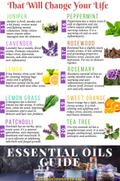 Essential Oils Guide 2